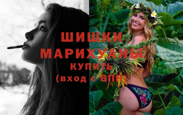 таблы Богородицк