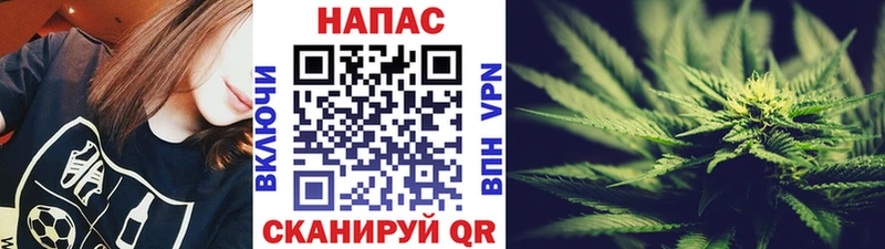 где можно купить наркотик Гаврилов-Ям Конопля семена